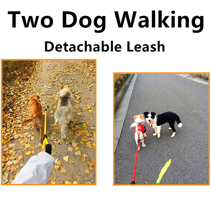 Tali Anjing Tali Ganda untuk A - Leather Strap Quick Release ulasan dan harga